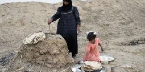 Jak zapálit tandoor, zahřát ho palivovým dřívím: návod k použití